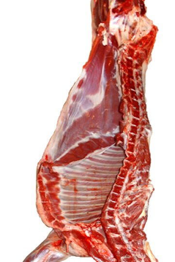 1/2 lamb $12 a pound cut and wrapped average number of pounds is 15